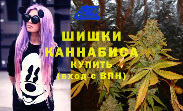 мет Нефтекумск