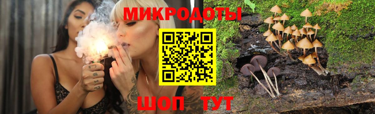 Похвистнево  Псилоцибиновые грибы ЛСД  Псилоцибиновые грибы Magic Shrooms  Вход с VPN 